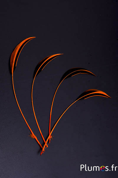 Canard Mandarin strippé - 15-20 cm - orange